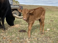 4L Rural Holiday