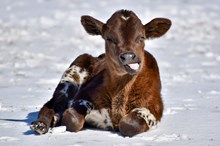 Stop Already X Driving Miss Seco 