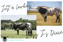 Jest a Cowboy x Lazy J's Dixie Frozen Embryo